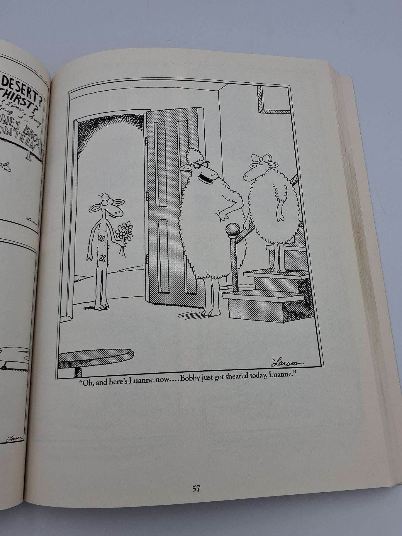 Bog: The Far Side Gallery 3